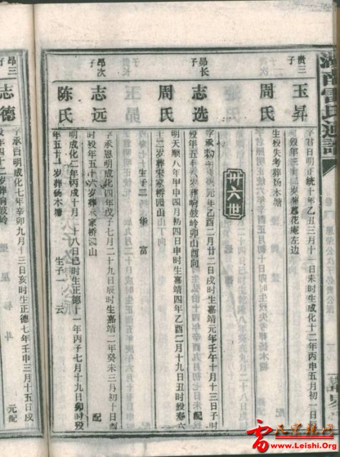 image206.jpg